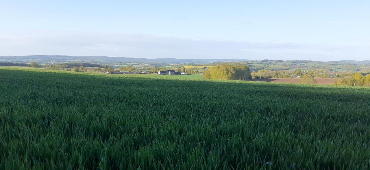 Private Farmhouse For Six In The Countryside Saint-Pierre-sur-Orthe Екстериор снимка